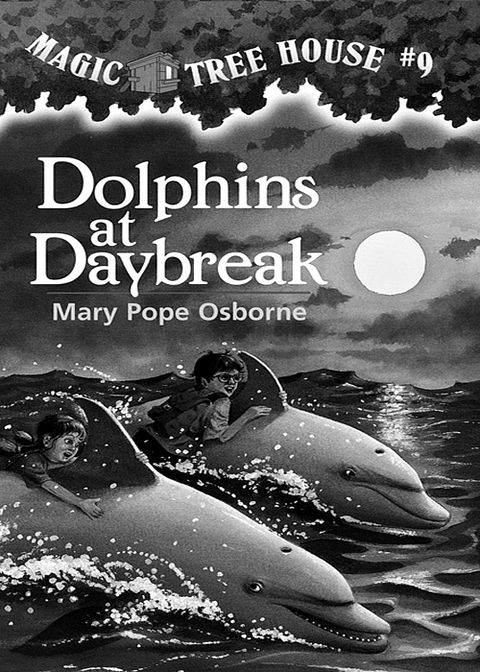 Dolphins at Daybreak