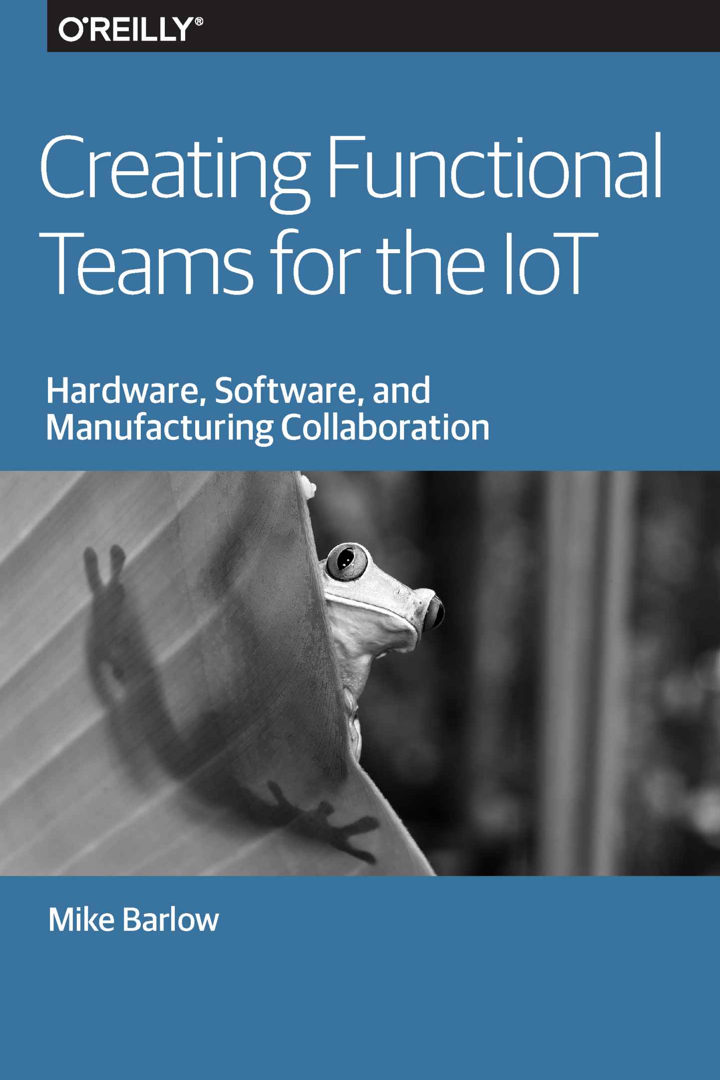 Creating Functional Teams for the IoT